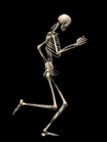 A walking skeleton